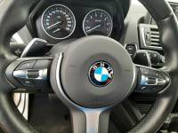 BMW Řada 1 120i M-Paket TROTINA auto